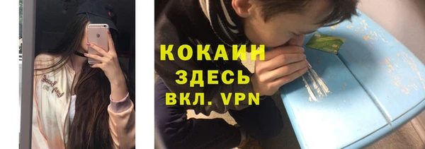 сатива Лихославль