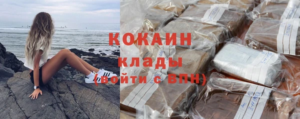 сатива Лихославль