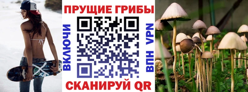 Псилоцибиновые грибы мицелий  Комсомольск-на-Амуре 